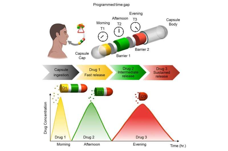Graphic summary. Credit: Business (2025). DOI: 10.1016 / J.matt.2024.101947 A timed release capsule could replace the socket of several pills