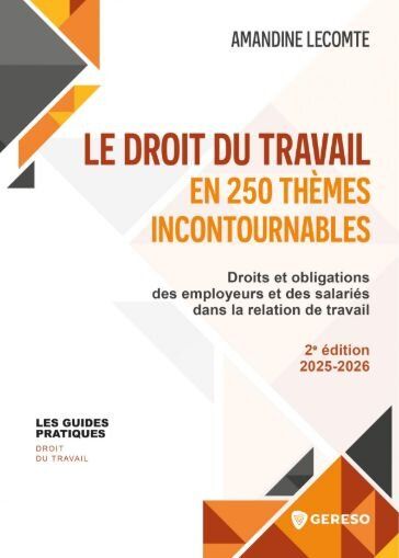 Labor law in 250 essential themes - © DR