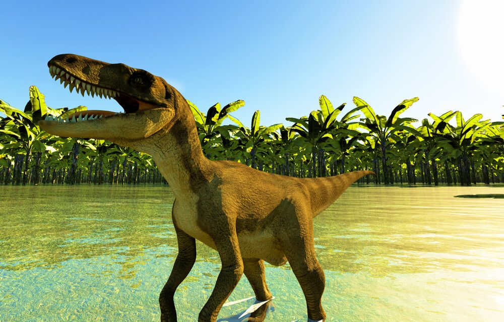 Velociraptor, un dinosaure hors pair