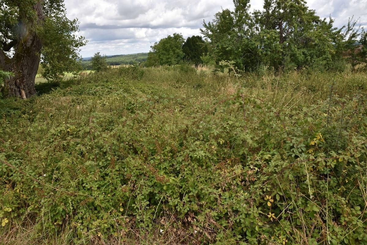 The dry pond where Alain de Monéys's stake had been drawn up.