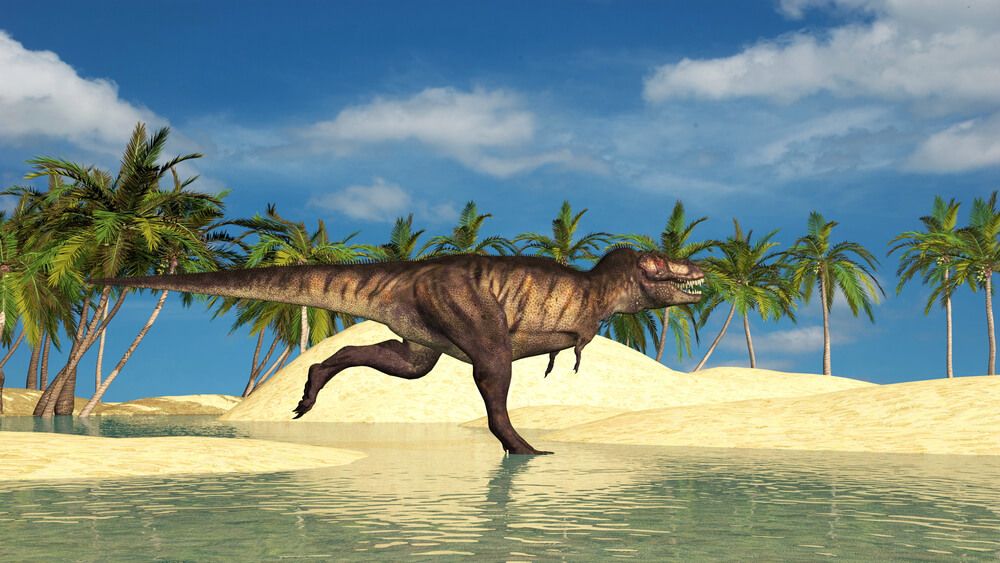 Tyrannosaurus rex