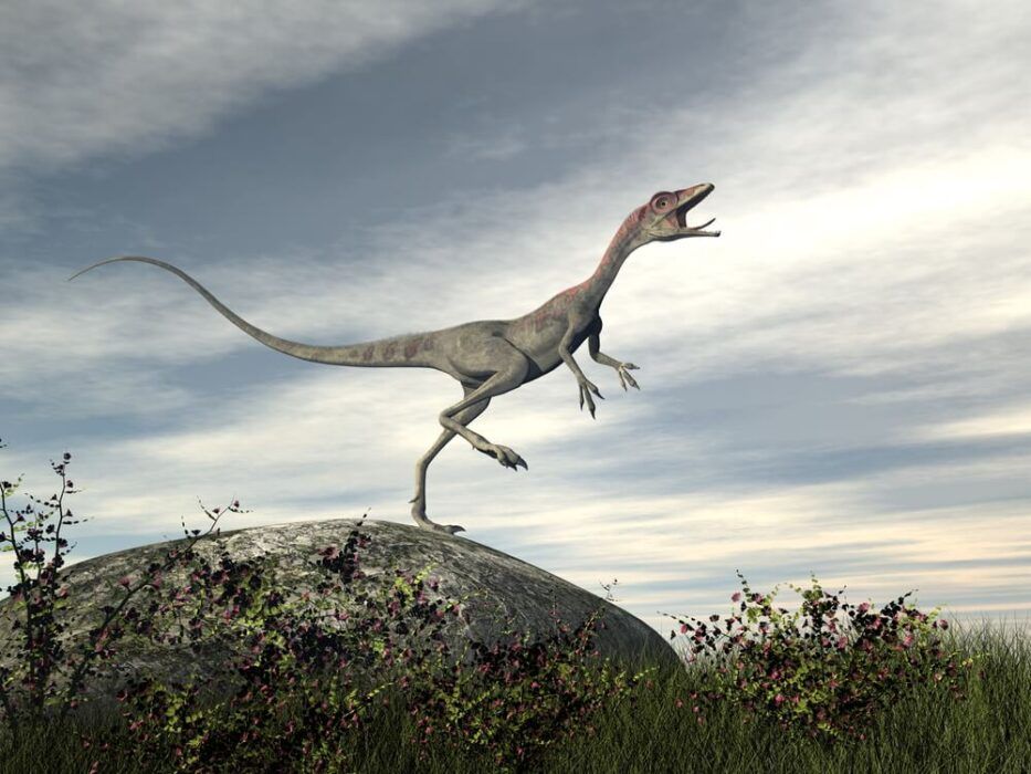 Complete; The dinosaur that runs the fastest