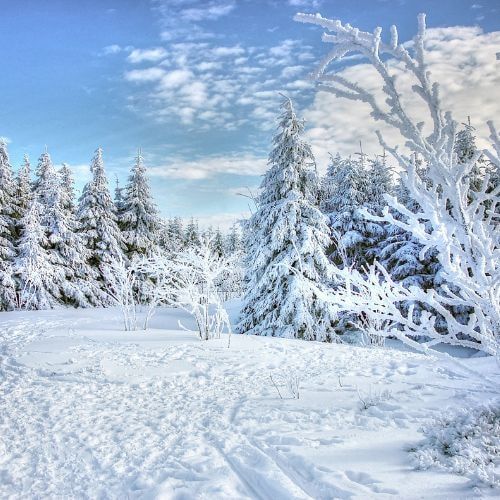 Winter