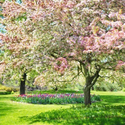 Spring