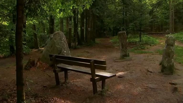 The place of discovery of the golden owl, in Dabo, in Moselle.