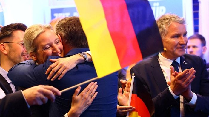 Activists of the German far -right party are the reclaim.