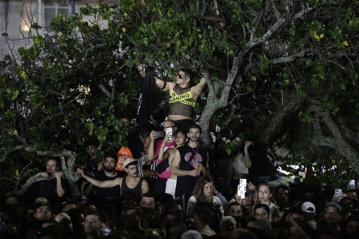 Fans did not hesitate to climb the trees to benefit from the best point of view.