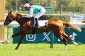 Sunly's photo arrived PMU Chaillot Prix à Parislongchamp