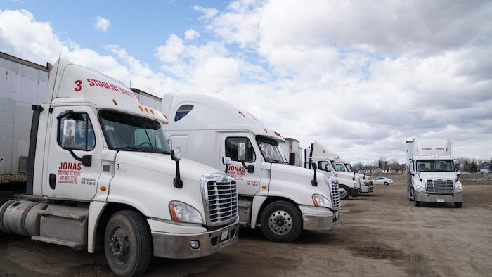 Jonas Driving School's school trucks lined up in row.