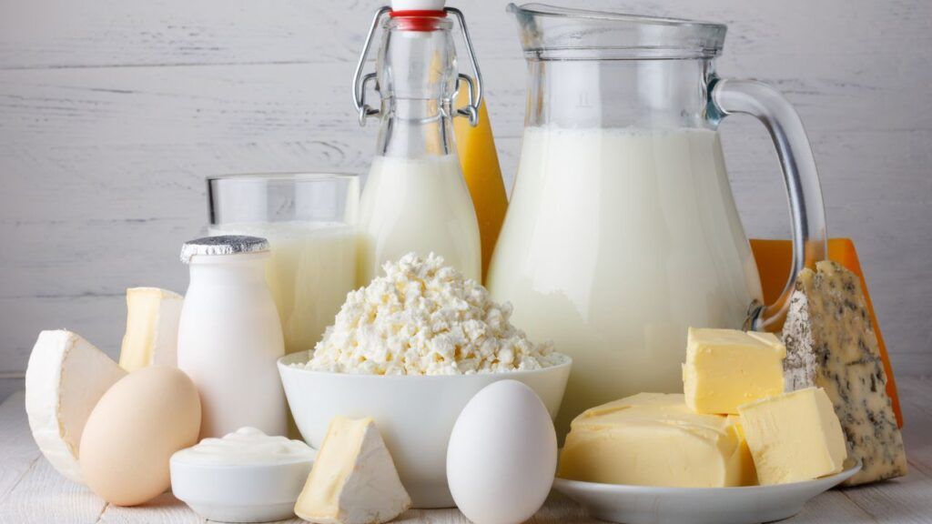 dairy products