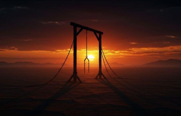 Record of executions in 2024, what does it reveal?