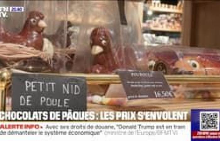 The 8 p.m. report – The price of Easter chocolates increased by 14 % in one year