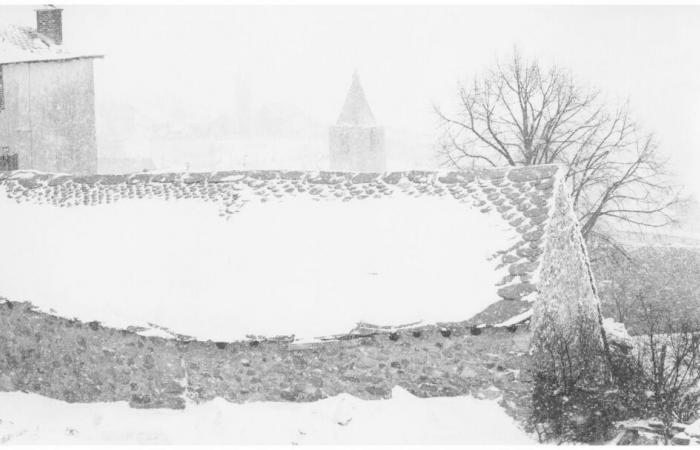 Galerie Durev: Alain Combier: Alma Mater