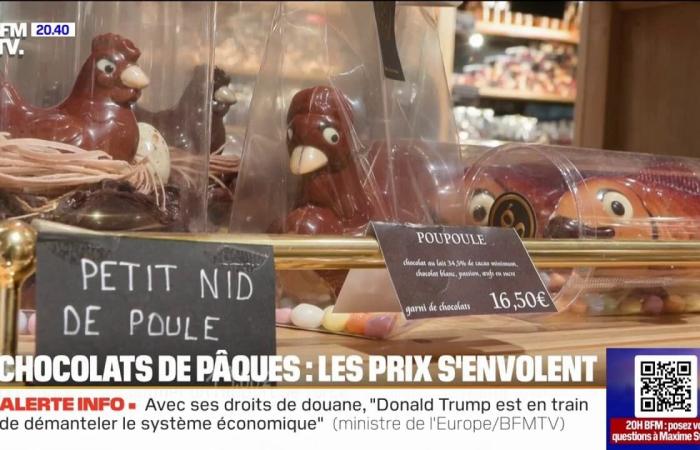 The 8 p.m. report – The price of Easter chocolates increased by 14 % in one year