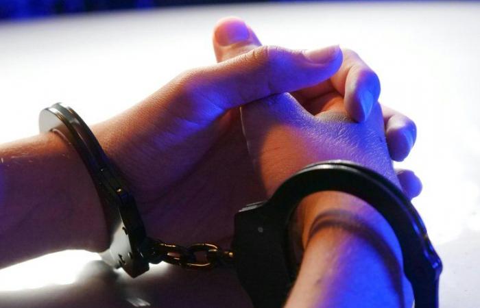 She had killed her children thinking it was “zombies”: already condemned, a 51 -year -old woman tried for the murder of her 4th husband – Belgium