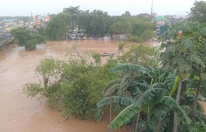 Floods in Kinshasa: the balance sheet goes from 33 to 43 dead – Swiss