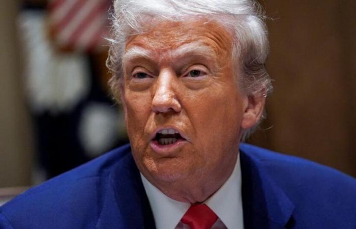 Donald Trump praises his “self-expulsion” campaign for migrants
