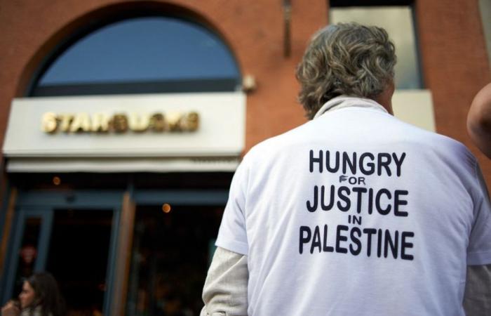 The fight of a doctor looking for justice for Palestine – France