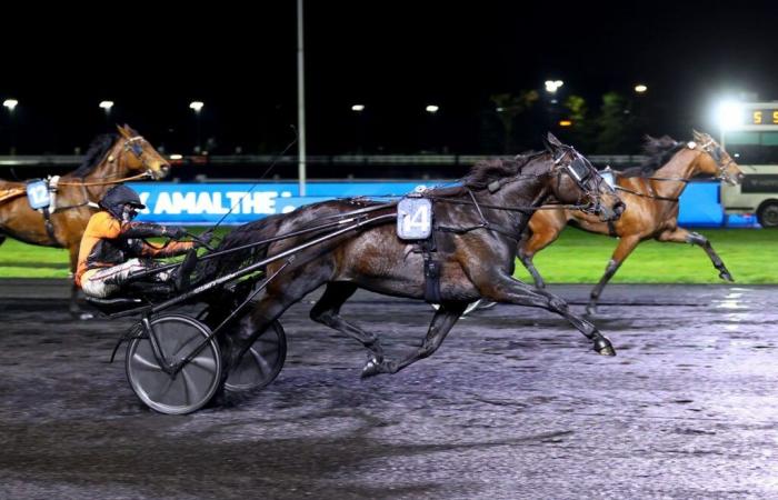 Saturday in Vincennes – Lorraine prices: the lines intersect – France