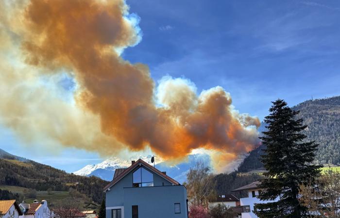 50 to 60 hectares of forest in flames – South Tyrol News – Canada