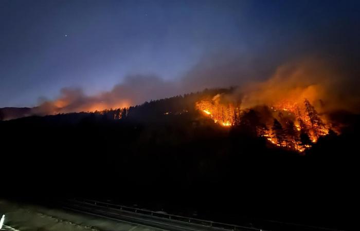 50 to 60 hectares of forest in flames – South Tyrol News – Canada