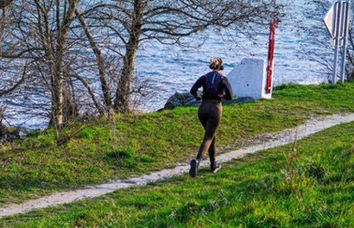 About 15% of runners feel insecure and more than one in two has already had to face problematic situations when they released, according to a study
