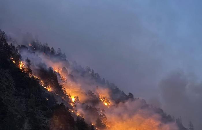 50 to 60 hectares of forest in flames – South Tyrol News – Canada