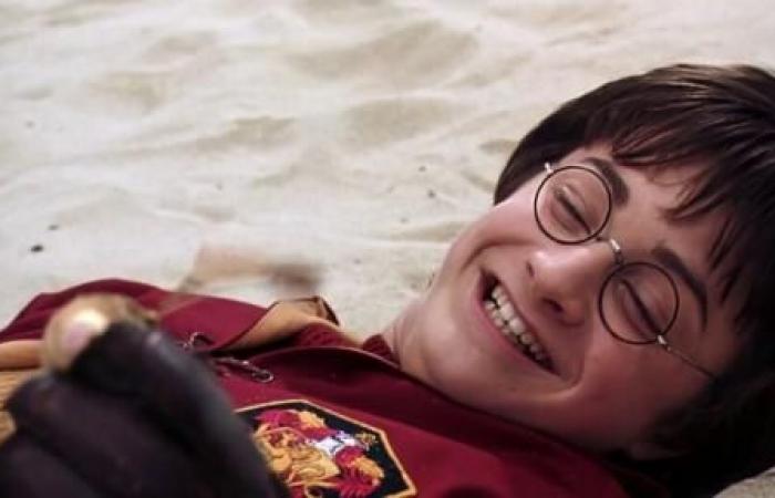 5 things on Minerva McGonagall that only readers know