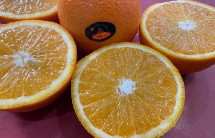 “World markets have no choice but to accept higher prices for citrus”