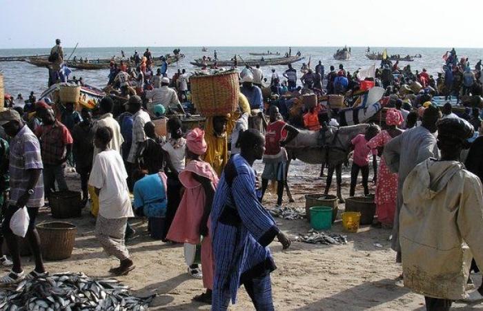CADTM Senegal calls for the unilateral suspension of debt repayment