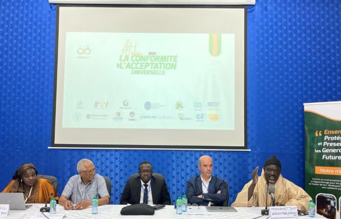 Universal acceptance day: a plea for a multilingual internet in Senegal