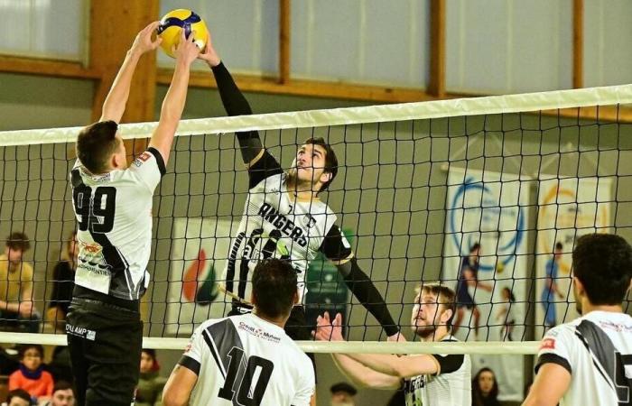 Volleyball. N2M: Villepreux pleasure winner, the SCO is launching its maintenance operation. Sport