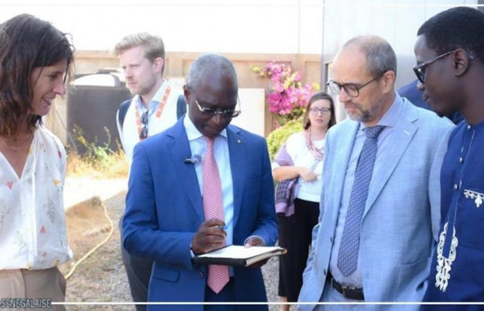 Senegal-Pays-Bas Cooperation: Strategic collaboration to reduce post-harvest losses
