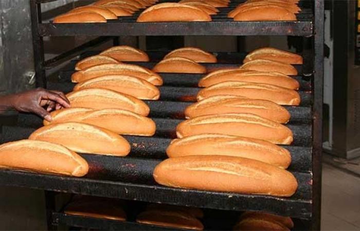Bakers in front of the survival defect