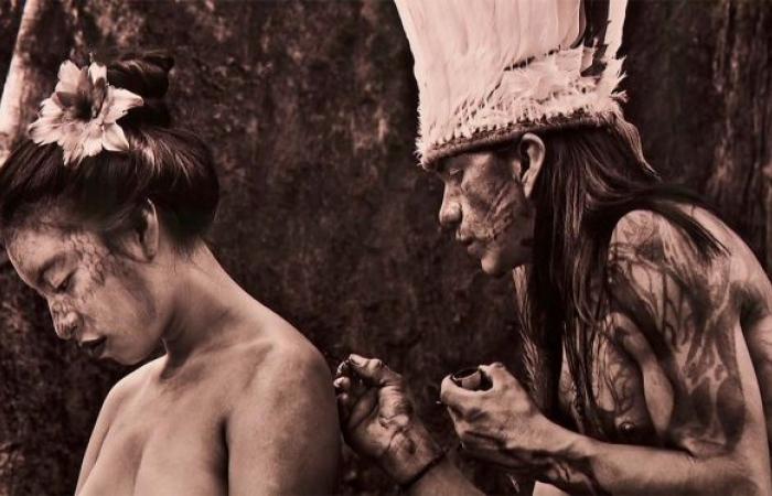 It is normally forbidden to approach them, but this photographer did: discover the rare shots of isolated tribes of Amazonia