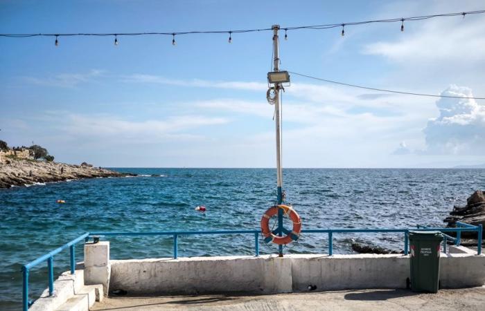 Monday Weather: Cloudy with a Side of Spring