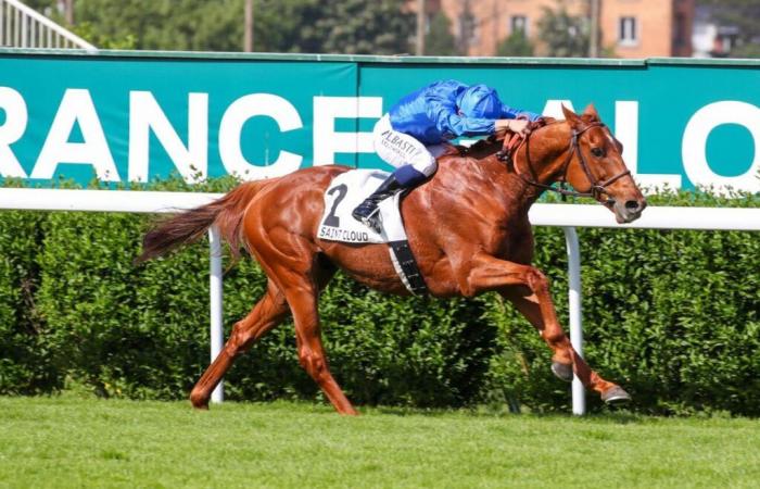 Tribalist wins the Third Timet