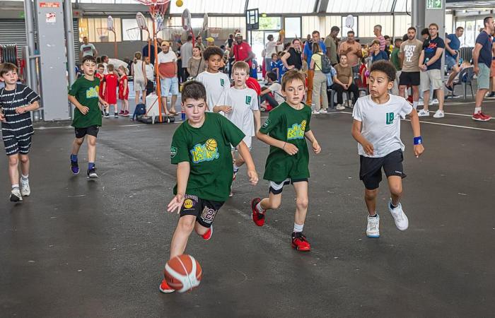 Basketball: In Pau, the Fête du Mini-basket 2025 attracted fewer people than previous editions