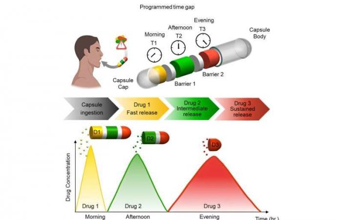 A timed release capsule could replace the socket of several pills