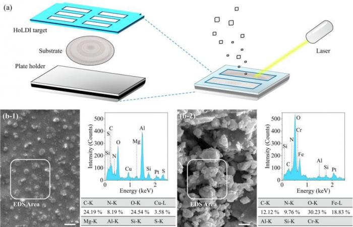 A new practical tool detects nanoplastics and microplastics in the environment