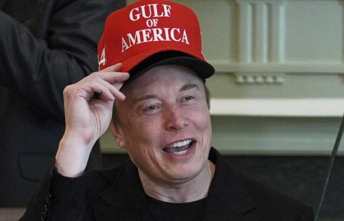 For Elon Musk, his DOGE commission is “not effective” enough to reduce the costs of the American government