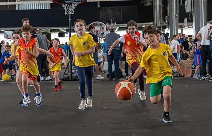 Basketball: In Pau, the Fête du Mini-basket 2025 attracted fewer people than previous editions