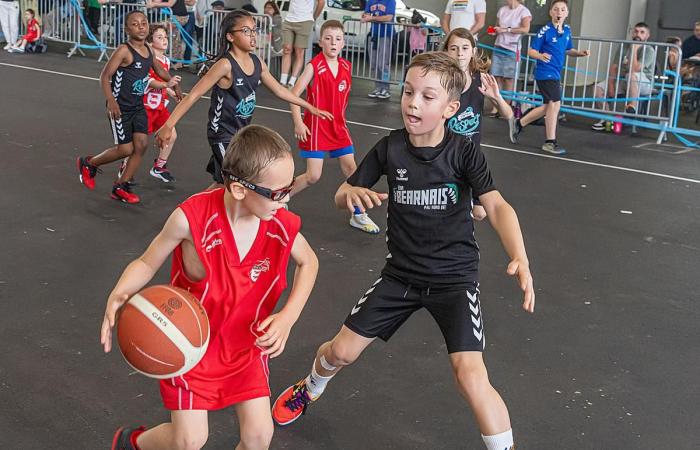Basketball: In Pau, the Fête du Mini-basket 2025 attracted fewer people than previous editions