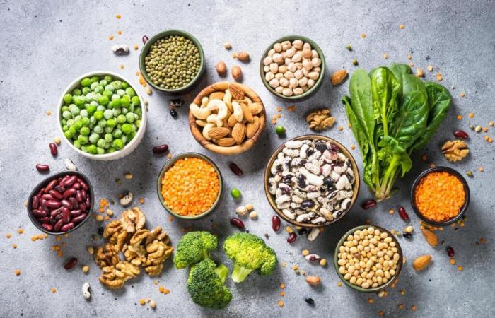 “Stars food for the balance of microbiota” The advice of a Béarnaise dietician-nutritionist