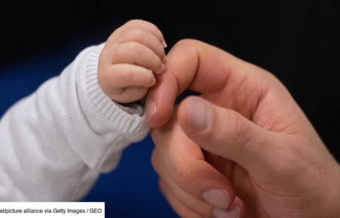 Plant trees could reduce the number of premature births, according to an American study