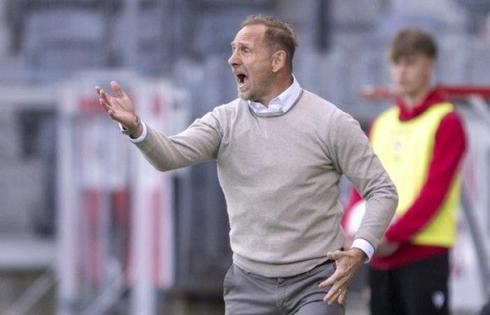 FC Thun is about to climb – President Gerber in the interview