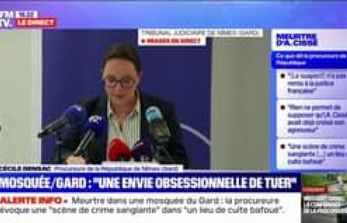 The press conference of the Nîmes prosecutor in full