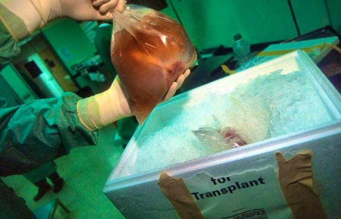 Switzerland: organ donation up despite an increased number of refusals
