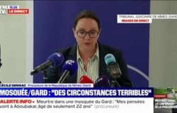 The press conference of the Nîmes prosecutor in full