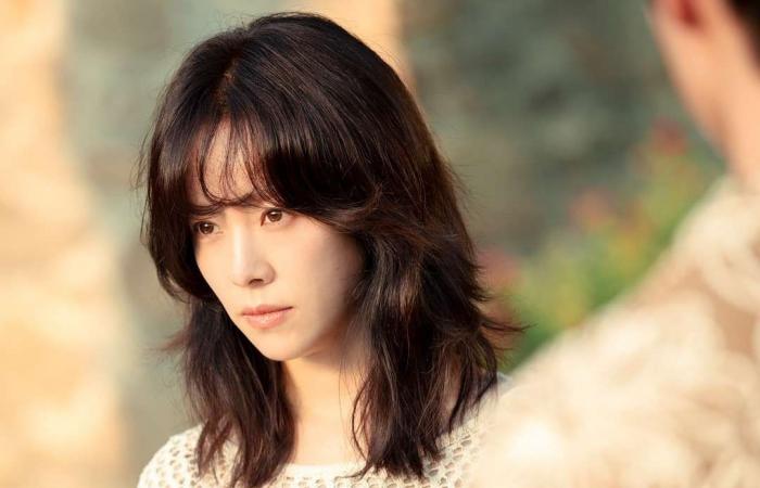 Who is Han Ji-Min?